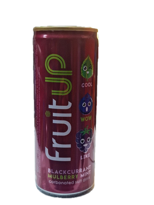 Fruit Up BLACKCURRANT 250m